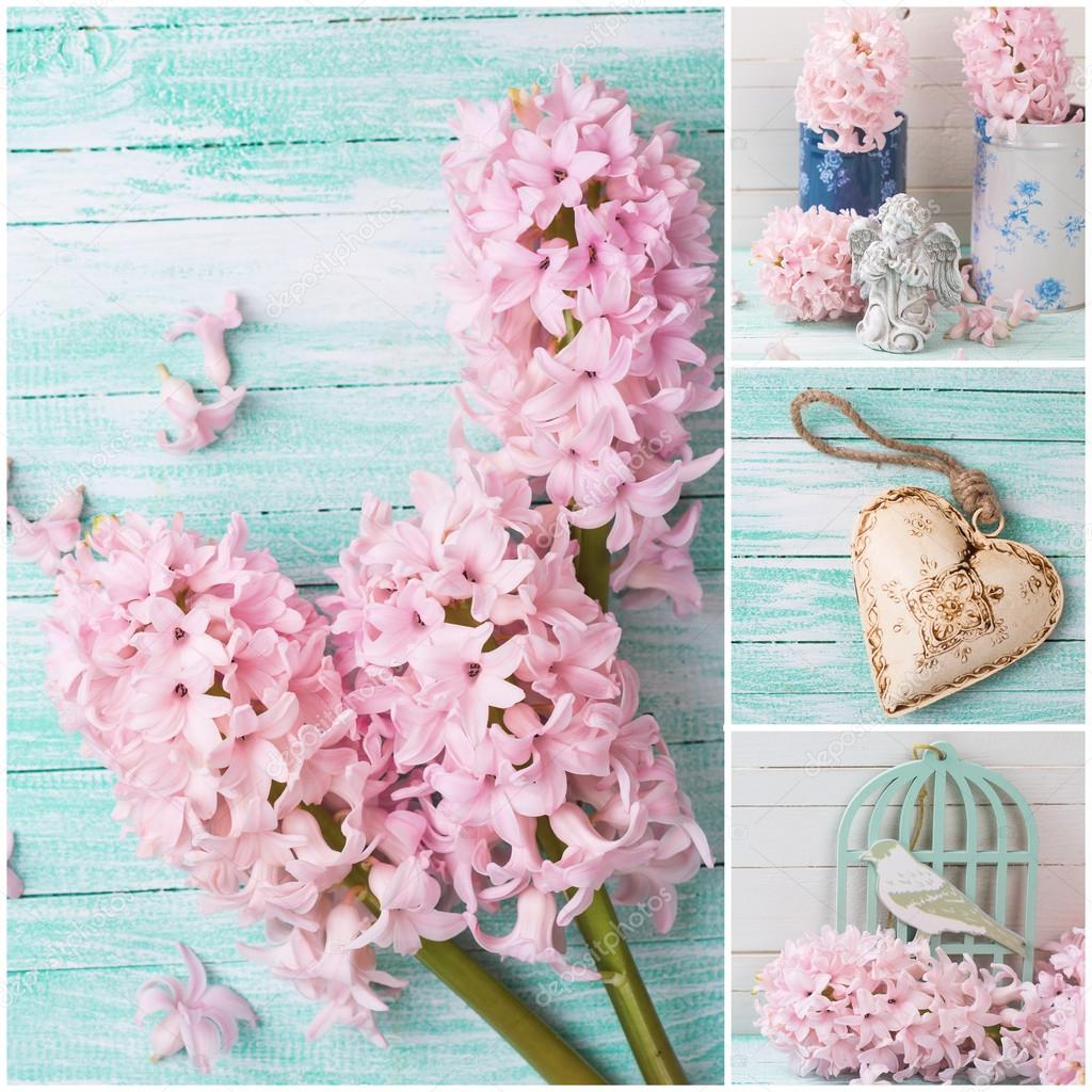 Collage with flowers hyacinths