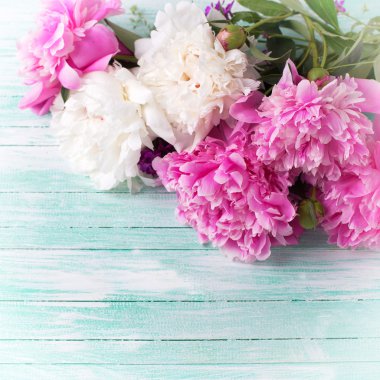 Beyaz ve pembe peonies çiçekler