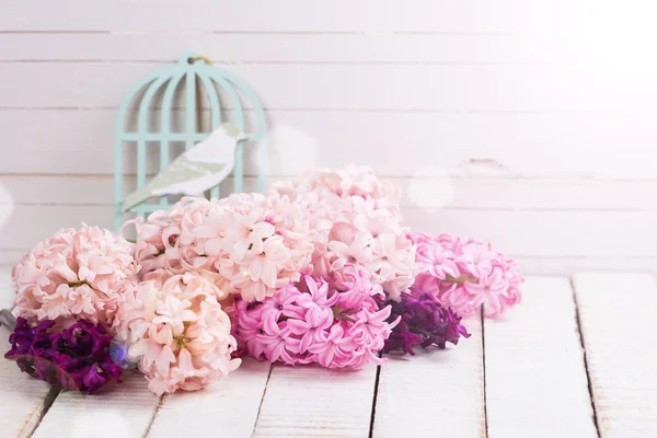 Taze çiçekler sümbül — Stok fotoğraf