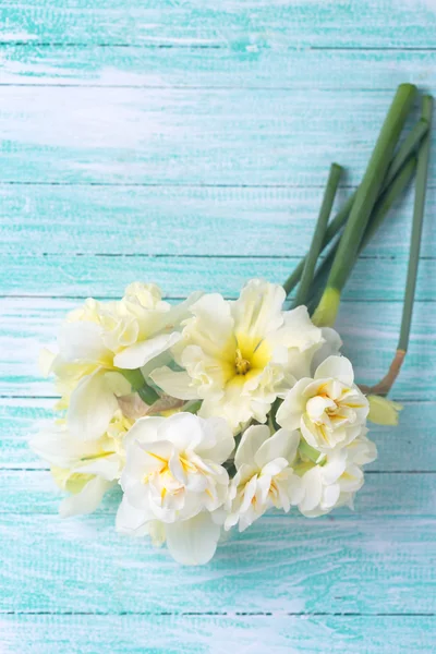 Narcisy čerstvé květiny — Stock fotografie