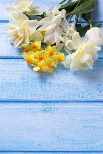 Färska påskliljor blommor — Stockfoto