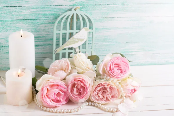 Rosas rosadas frescas —  Fotos de Stock