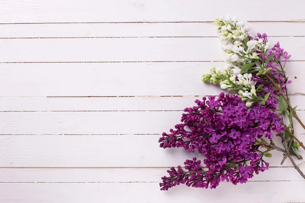 Fleurs de lilas sur bois — Photo