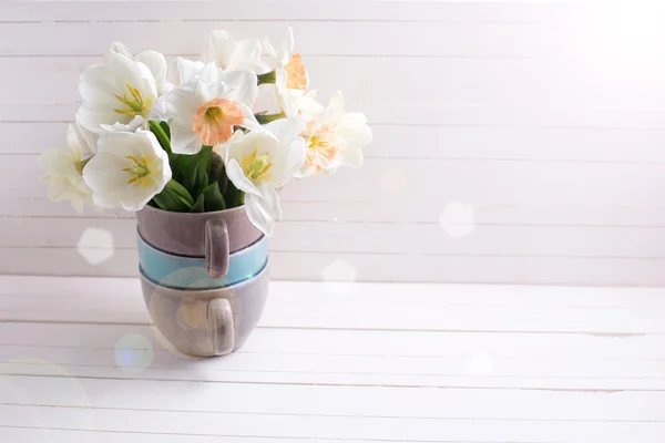 Wiosną żonkile i tulipany — Zdjęcie stockowe