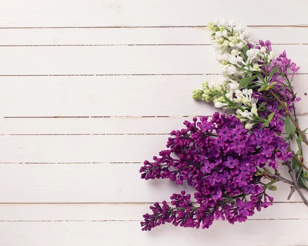 Vita och violetta lila blommor — Stockfoto