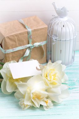 kartpostal ile taze nergis