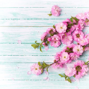 taze çiçekler ile kartpostal