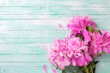 Pembe Peonies çiçekler