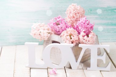 Bahar sümbül çiçeği