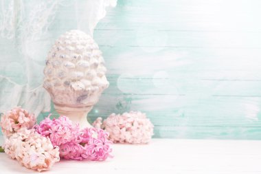 sümbül ve dekoratif koni