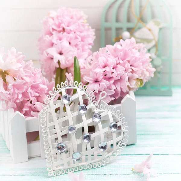 White heart and pink hyacinths — Stock Photo, Image