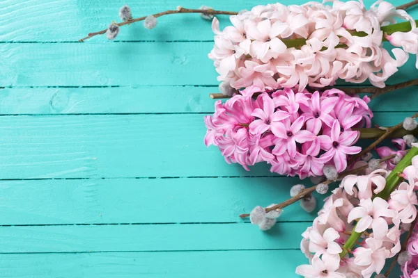 Fresh pink hyacinths — Stock Photo, Image