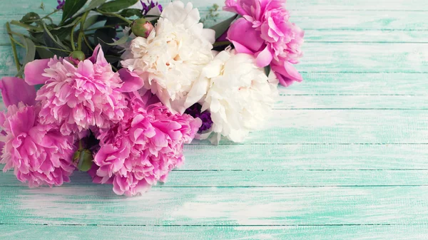 Beyaz ve pembe peonies — Stok fotoğraf