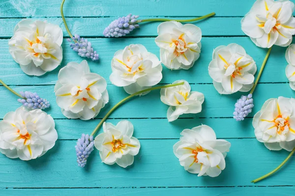 Flores de narcisos e muscarias — Fotografia de Stock