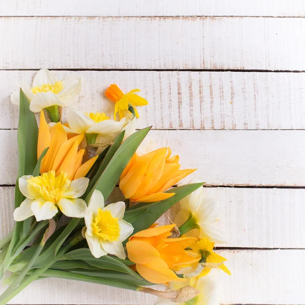 Čerstvý tulipány a Narcis — Stock fotografie