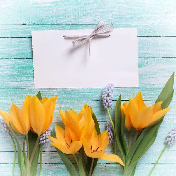 Tulips, muscaries and empty tag — Stock Photo, Image