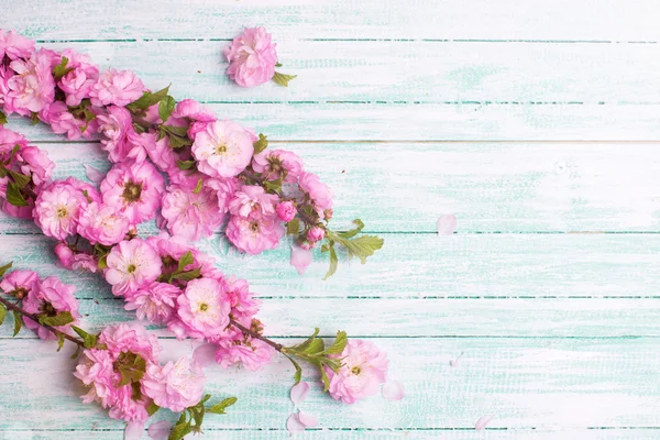 Postkarte mit frischen Blumen — Stockfoto