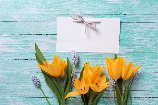 Spring yellow tulips — Stock Photo, Image