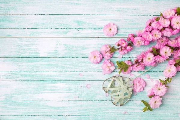 明るいピンクの花 — ストック写真