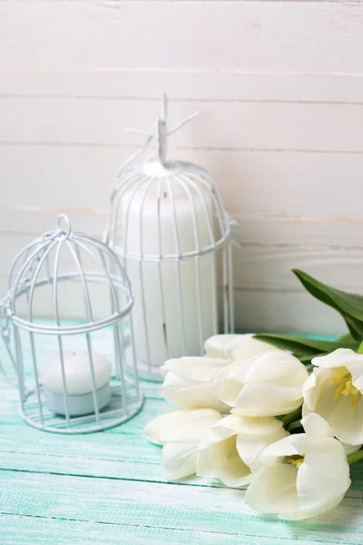 Flores amarelas da tulipa — Fotografia de Stock