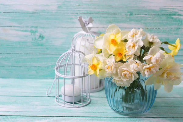 Gelbe Narzissenblüten — Stockfoto