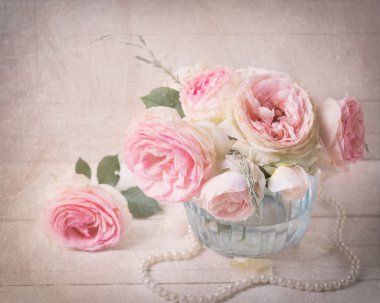 tatlı pembe Gül çiçek