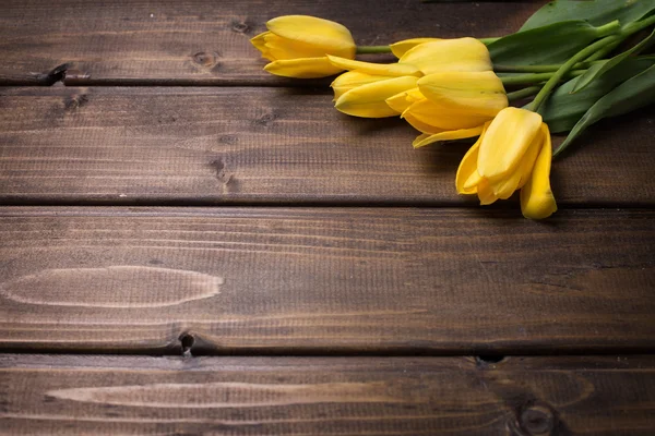 Flores de tulipanes brillantes —  Fotos de Stock