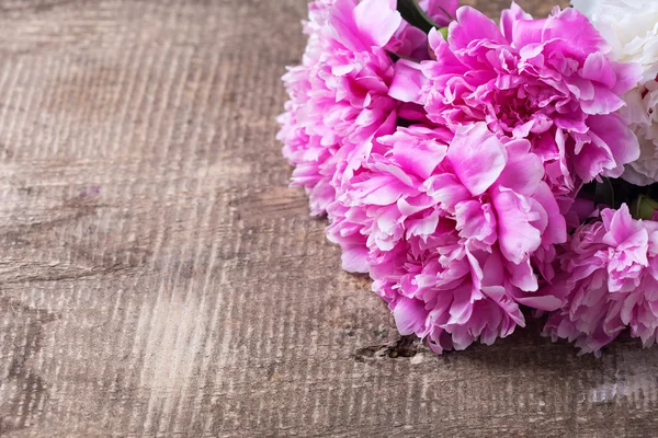 Vitt och rosa pioner blommor — Stockfoto