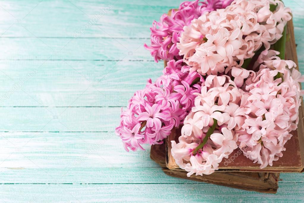 Hyacinths on old books