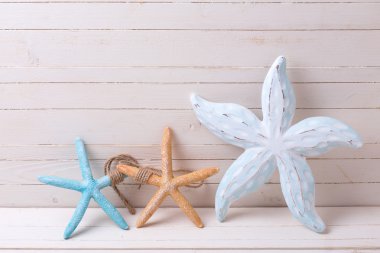 Dekoratif deniz öğeler