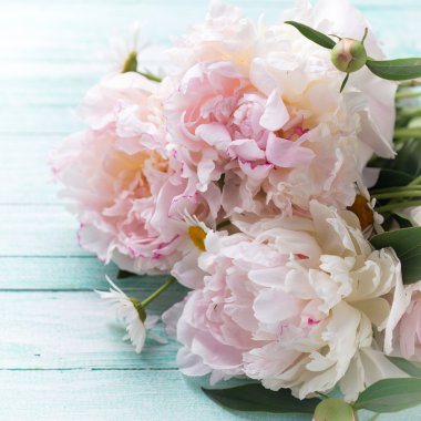 Beyaz peonies çiçekler