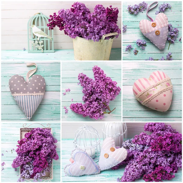 淡紫色的花组成的拼贴画 — 图库照片