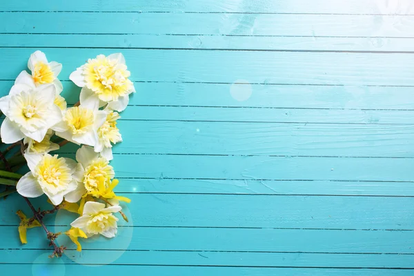 Background with fresh narcissus — Stock Photo, Image