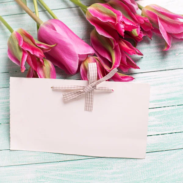 Fresh tulips and empty tag — Stock Photo, Image