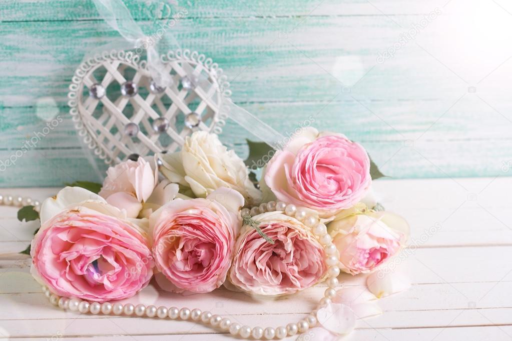sweet pink roses flowers