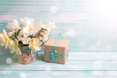 Renkli nergis çiçekleri