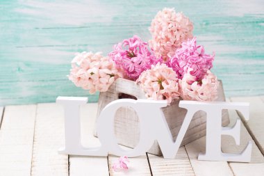 Bahar sümbül çiçeği