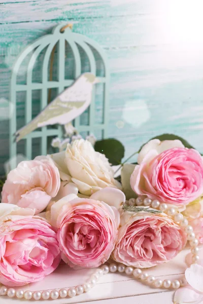 Rosa Rosen Blumen — Stockfoto