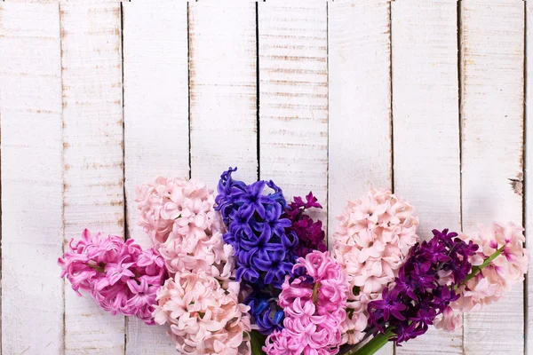 新鮮な花のヒヤシンスの総称 — ストック写真