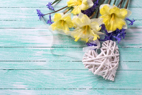 Yellow and blue spring flowers — Stock Photo, Image