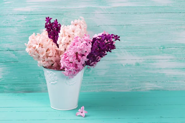 Fresh flowers hyacinths — Stock Photo, Image