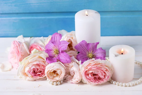 Fresh pink roses — Stock Photo, Image
