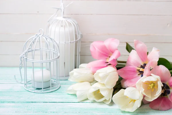 Background with  white and pink tulips — Stock Photo, Image