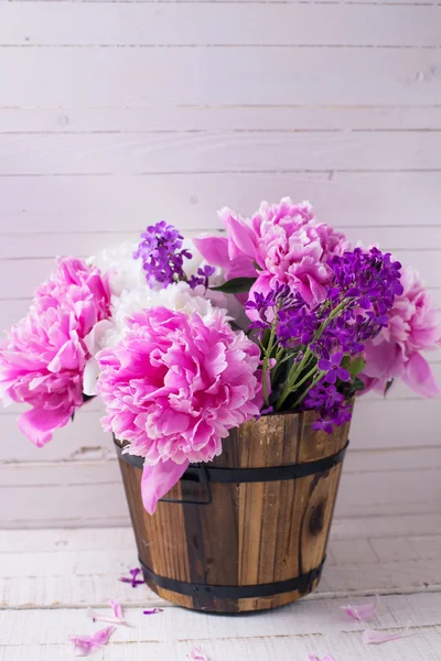 Fresh pink and white peonies — Stock Photo, Image