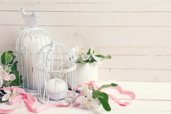 Tender apple blossoms — Stock Photo, Image