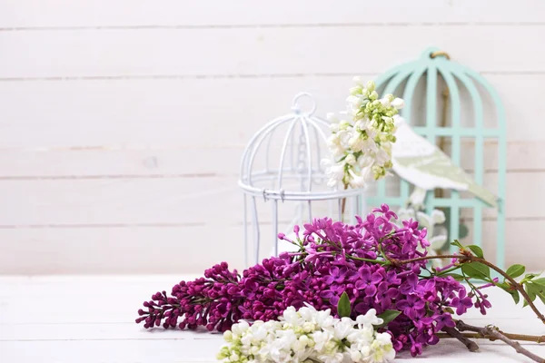 淡紫色的花和蜡烛 — 图库照片
