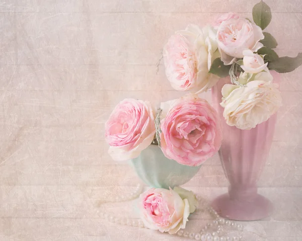 Süße rosa Rosen Blumen — Stockfoto