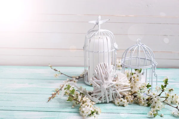 White spring flowering branches — Stock Image White spring flowering branches Stock Image