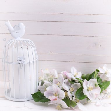 Kartpostal elma çiçekleri ile