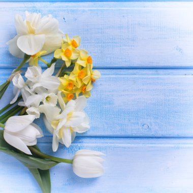 Beyaz ve sarı çiçekler